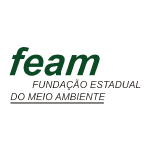 Logo Feam